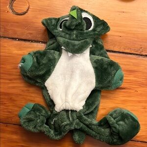 Cat or Small Dog Dino Outfit